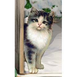 Calendario dell'Avvento Cioccolateria